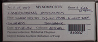 Image Associated With the Occurence